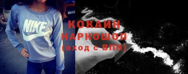 сатива Вяземский