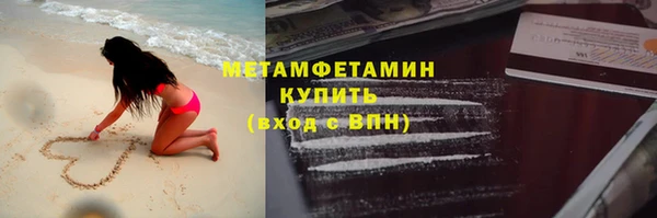 сатива Вяземский