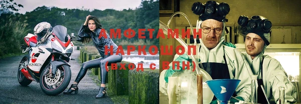 сатива Вяземский