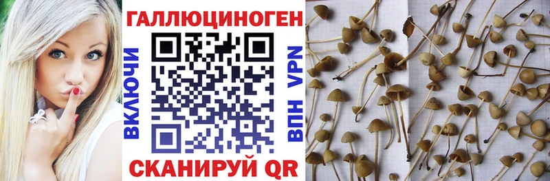 Галлюциногенные грибы Magic Shrooms  Купить  Красково 